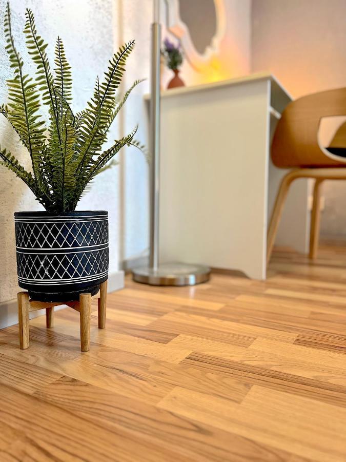 Elbling Apartment Mit Terrasse - Netflix - Parkplatz - Weinbergblick ไมเซน ภายนอก รูปภาพ